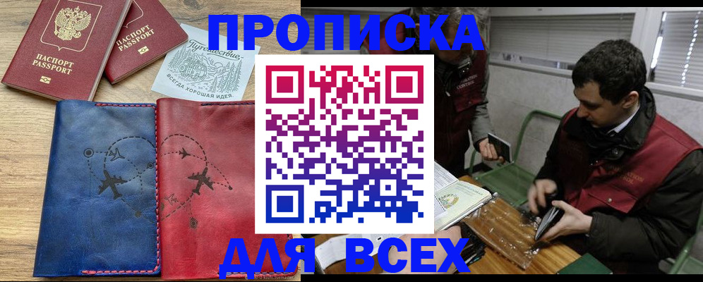 прописка в Шебекино